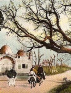 Sabil Abu Nabbut