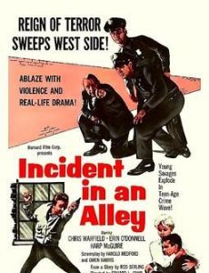 Incident in an Alley