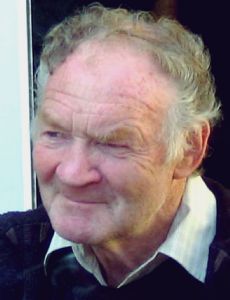 Mick Leahy (boxer)