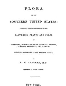 Alvan Wentworth Chapman