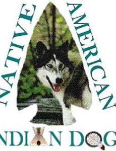 Native American dogs