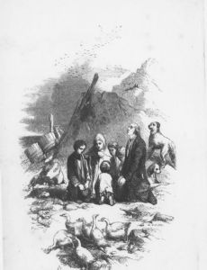 The Swiss Family Robinson
