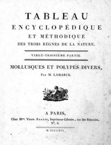 Jean Guillaume Bruguière