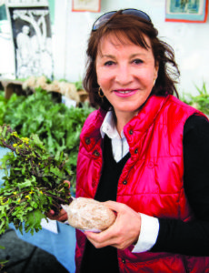 Nora Pouillon