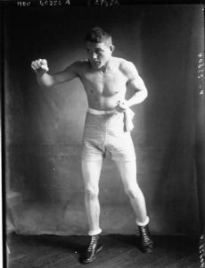 Émile Pladner