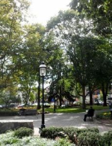 The Red Oaks School