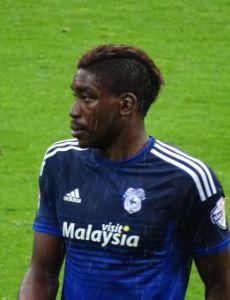 Sammy Ameobi