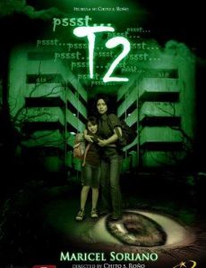 T2