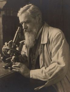 Otto Bütschli