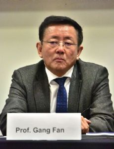 Fan Gang