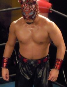 Tigers Mask