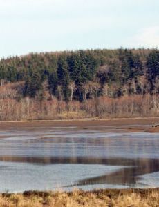 Grays Harbor National Wildlife Refuge