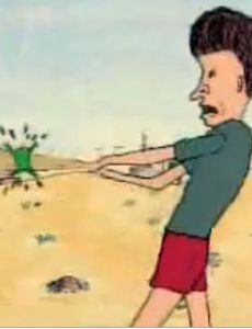 Frog Baseball
