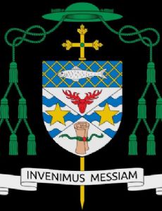 Mark O'Connell (bishop)