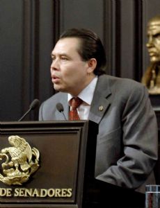 René Arce Islas