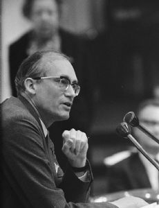 Johan Witteveen