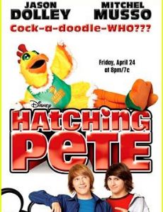 Hatching Pete