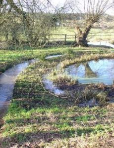 Law Brook, Surrey