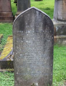 Thomas Anderson (botanist)