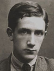 Ion Vinea