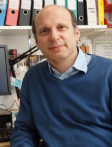David C. Rubinsztein