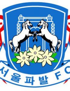 Seoul Pabal FC