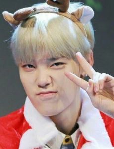 Zelo