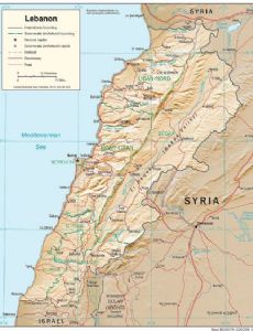 Hezbollah–Syria clashes (2024–present)