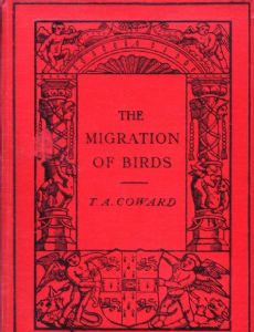 Thomas Coward