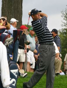 Stewart Cink