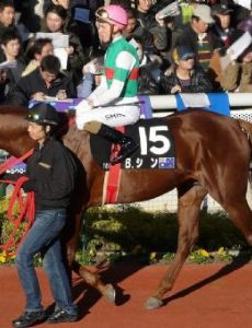 Blake Shinn
