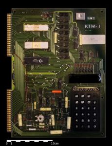 KIM-1