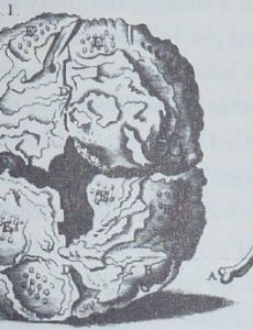 Johann Georg Steigerthal