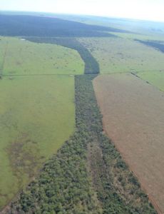 Wildlife corridor
