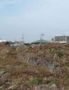 Jōjō Castle