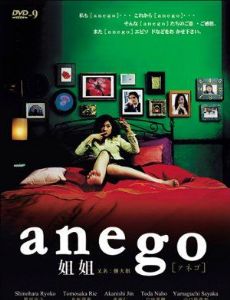 Anego