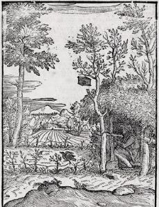 Giovanni Maria Verdizzotti