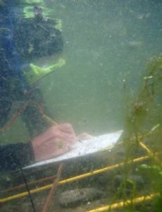 Underwater archaeology