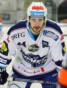 David Ostřížek