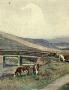 Robert Hugh Buxton