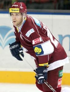 Petr Hořava (ice hockey)