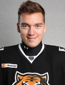 Nikita Kamalov