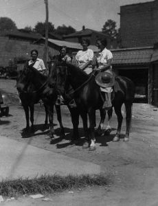 Pack Horse Library Project