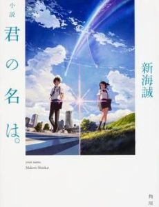 Your Name (novel)