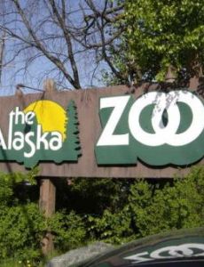 Alaska Zoo