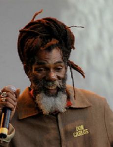 Don Carlos (musician)