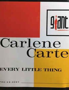 Every Little Thing