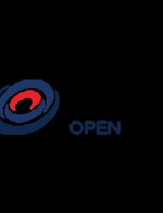 Netsuite Open