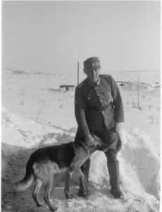 Georg Ritter von Hengl
