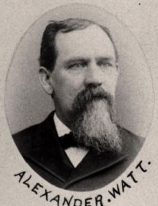 Alexander Watt (politician)